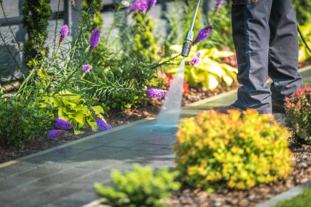 Best Animal Enclosure Cleaning  in Laughlin Af, TX